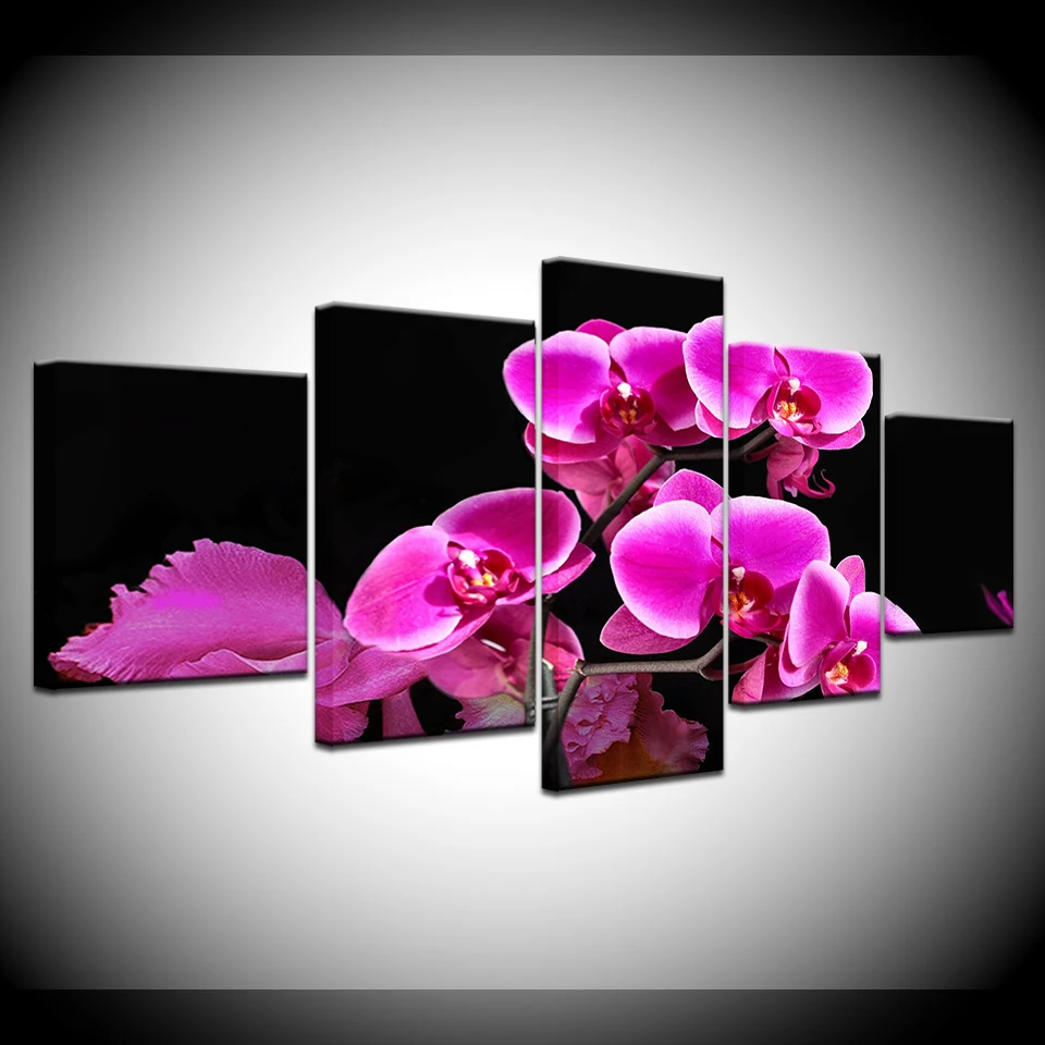 

Canvas Painting beautiful orchid flowers 5 Pieces Wall Art Painting Modular Wallpapers Poster Print for living room Home Decor