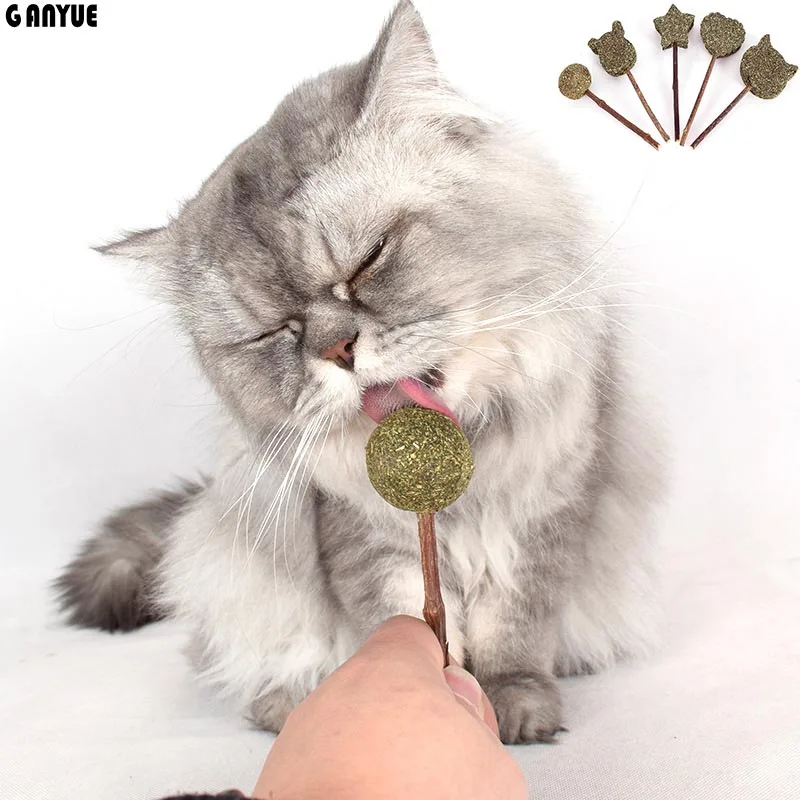 Ganyue кошка кошачья палочка леденец игрушка молярная зубная мататаби плод