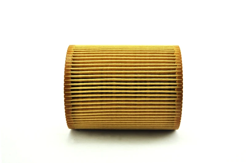 1 Piece Gas Oil Fuel Filter 11427512300 for BMW E36 E38 E39 E46 E53 E60 E83 E85 Z3 323i 325i 328i 525i X5 Z4 | Автомобили и