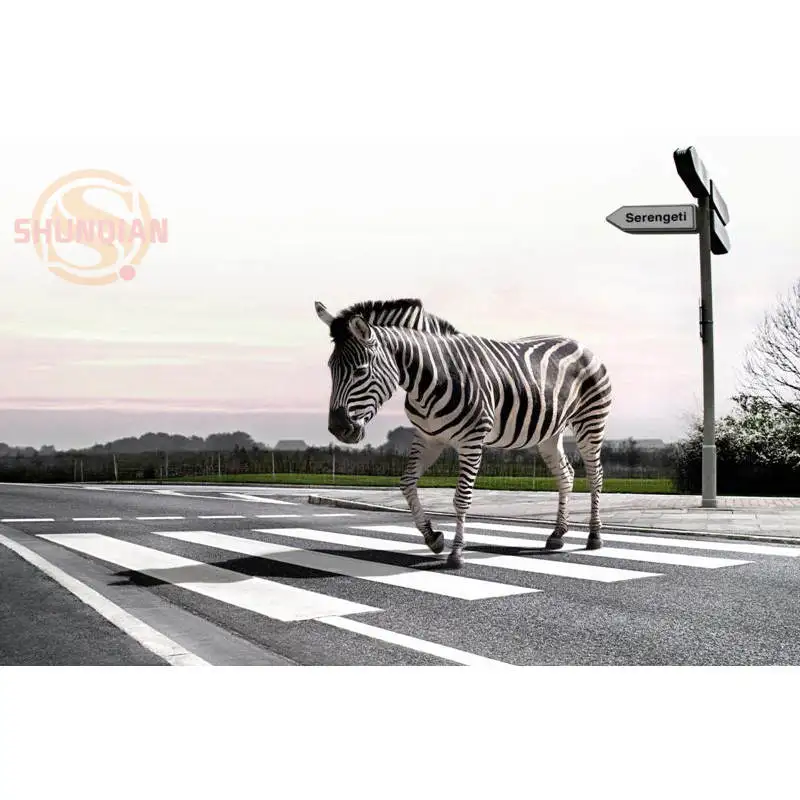 Новинка Обувь для прогулок на постер с зеброй из сатина печати плакатов ткань