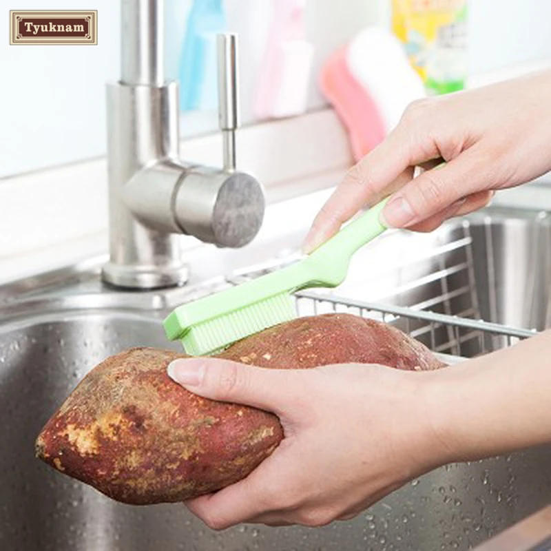 Кухня инструмент фруктов Растительные Тематические товары про рептилий и