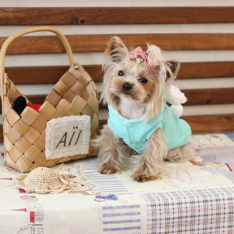 Little Balls Lovely Ear Yorkie Fleece Thick Coat Jackets Hoodies Clothing Chihuahua Dogs Products Pet Cats Autumn Winter 17ZF162 | Дом и сад