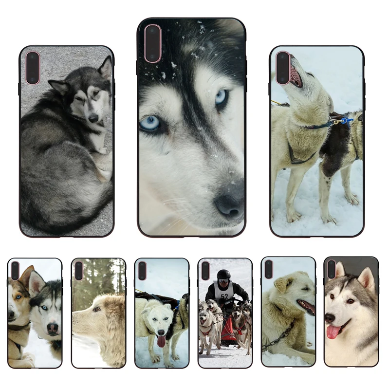 

IMIDO Siberian Alaska Husky Cute Soft TPU CoverSheath For Iphone 7 8 7PLUS 8PLUS X XS XR XSMAX 5 5S SE 6 6S 6PLUS 6SPLUS