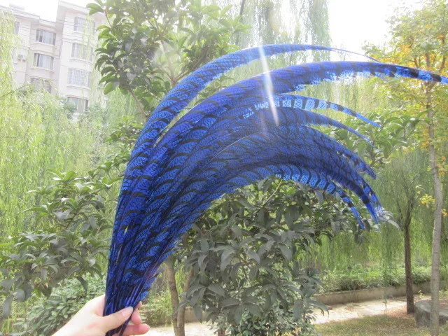 Royal blue 20 шт./партия 32-36 ''/80-90 см натуральный окрашенный Зебра Алмазный фазан перья из хвоста фазана для рукоделия супер длинные Phesant перья - Цвет: Royal blue