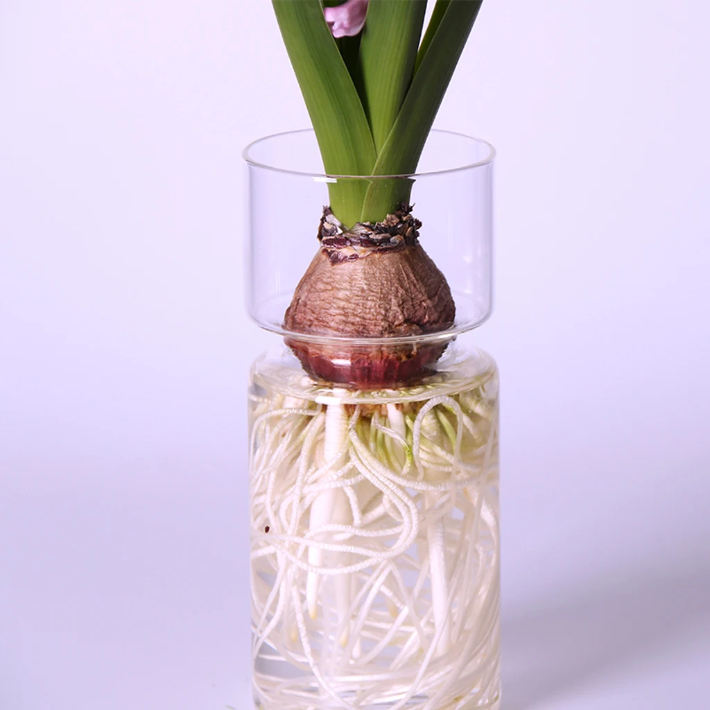 Стеклянная ваза для цветов Hyacinth Мини Пейзаж Сказочный Сад DIY Террариум