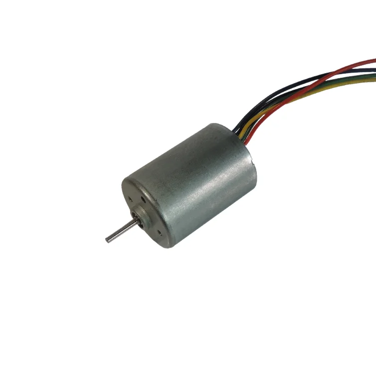 DC2838 High Speed Brushless DC Motor Miniature 12-24V 4000RPM LF1 |