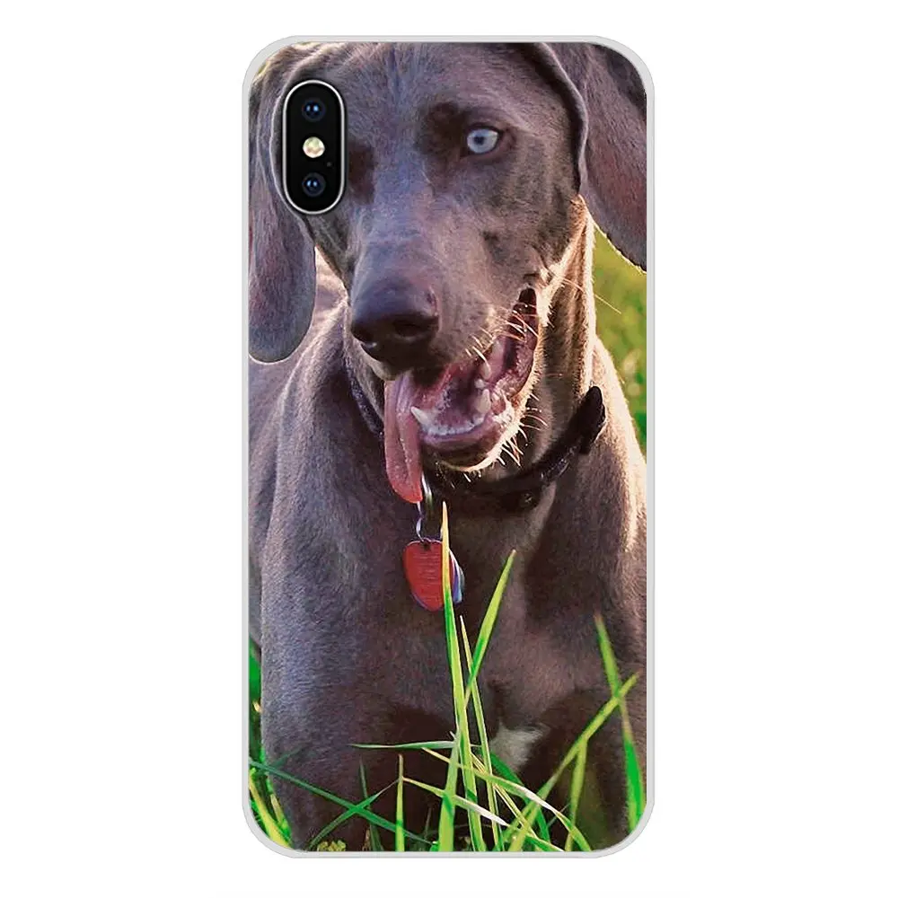 Weimaraner собака искусство для Samsung Galaxy J1 J2 J3 J4 J5 J6 J7 J8 плюс 2018 Prime 2015 2016 2017 аксессуары
