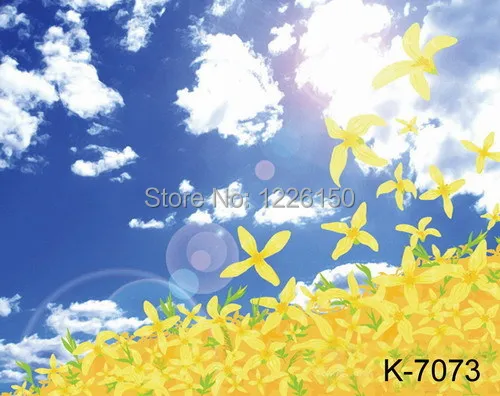 Фон для фотосъемки Free10 * 10 футов, ручной работы, фон для фотосъемки K7073, фотостудия, муслиновый фон для фотосъемки