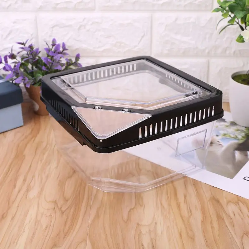 Пластиковый контейнер коробка для кормления рептилий паук Скорпион разведения