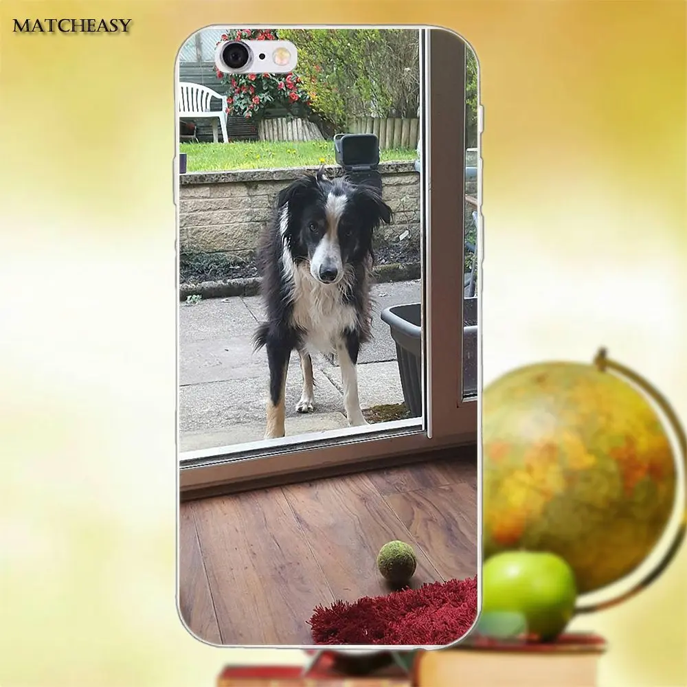 Красивый Border Collie Puppy Dog для Apple iPhone X XS Max XR 4 4S 5 5C SE 6 6S 7 8 Plus мягкий модный мобильный