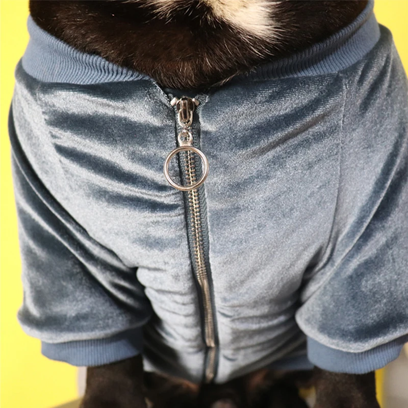 Winter French Bulldog Thick Jacket Pet Dog Clothes for Small Dogs Clothing Chihuahua Warm Sweater Pug Costume Roupa Para S-2XL | Дом и сад