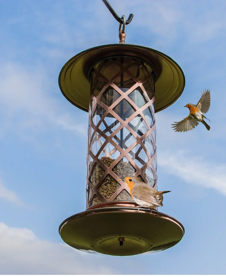 

European style wild bird feeder Outdoor bird feeders food container