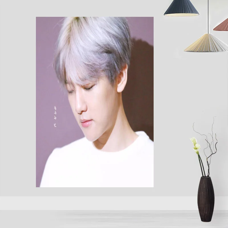 Modern Picture BAEK HYUN Poster Paintings For Living Room Wall Art Silk Fabric Cloth Decoration Children Gift | Дом и сад