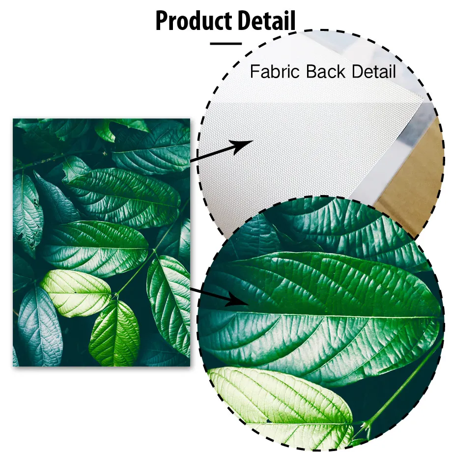 Зеленые растения пальма монстера большой лист настенный художественный принт