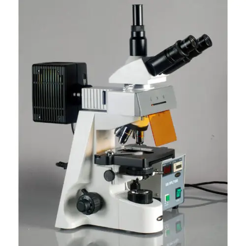 Флуоресцентный микроскоп AmScope 40x 2500x Plan Infinity Extreme Widefield EPI|Микроскопы| |