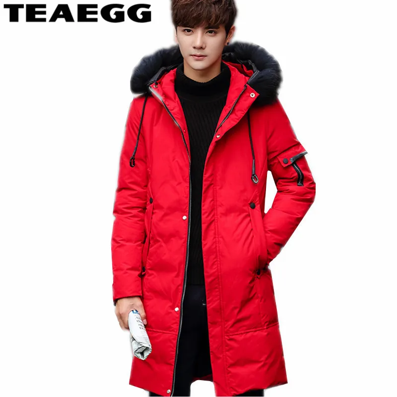 TEAEGG утепленная мужская зимняя куртка с хлопковой подкладкой Blouson Homme Hiver 2020