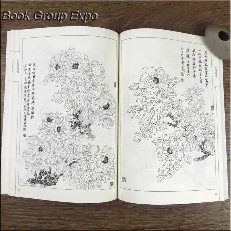 Сто фотографий цветочного пиона традиционный китайский Bai Miao Gong Bi рисование