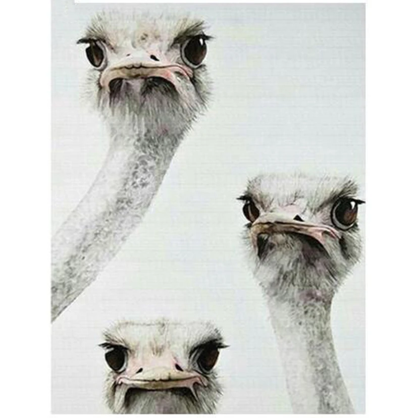 5d алмазная живопись животное мультяшный Страус полноразмерная Алмазная мозаика