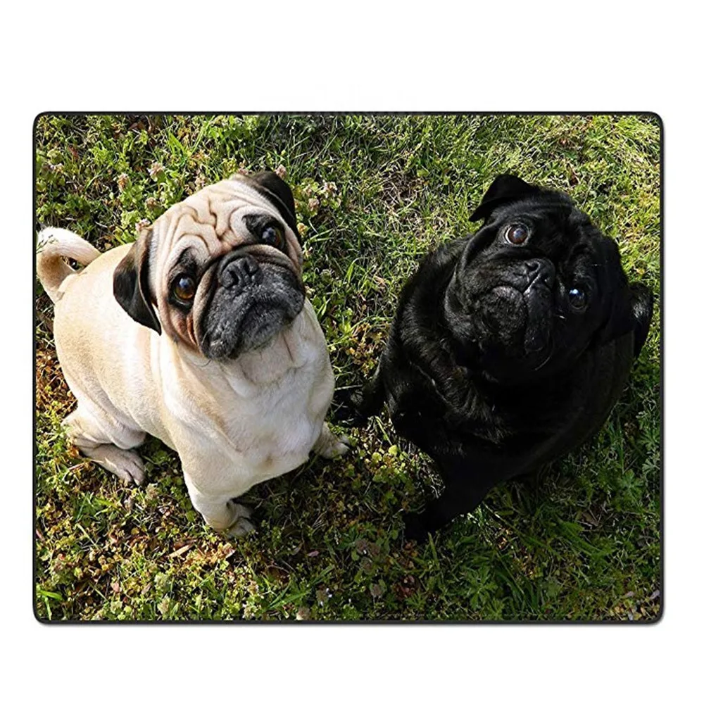 Одеяло s смешной Мопс Собака 2 Удобные Смешные кровать одеяло|Одеяла| |