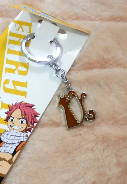 Оптовая продажа Аниме FAIRY TAIL логотип брелки для ключей подвеска на шею из