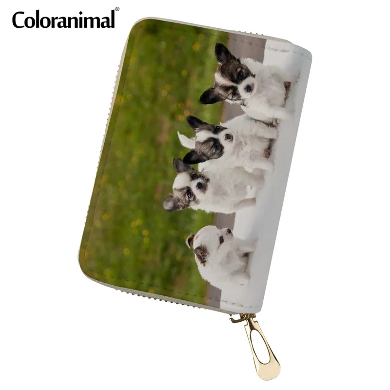 Coloranimal милый щенок чихуахуа принт Для женщин мужчины люксовый дизайн карты сумка