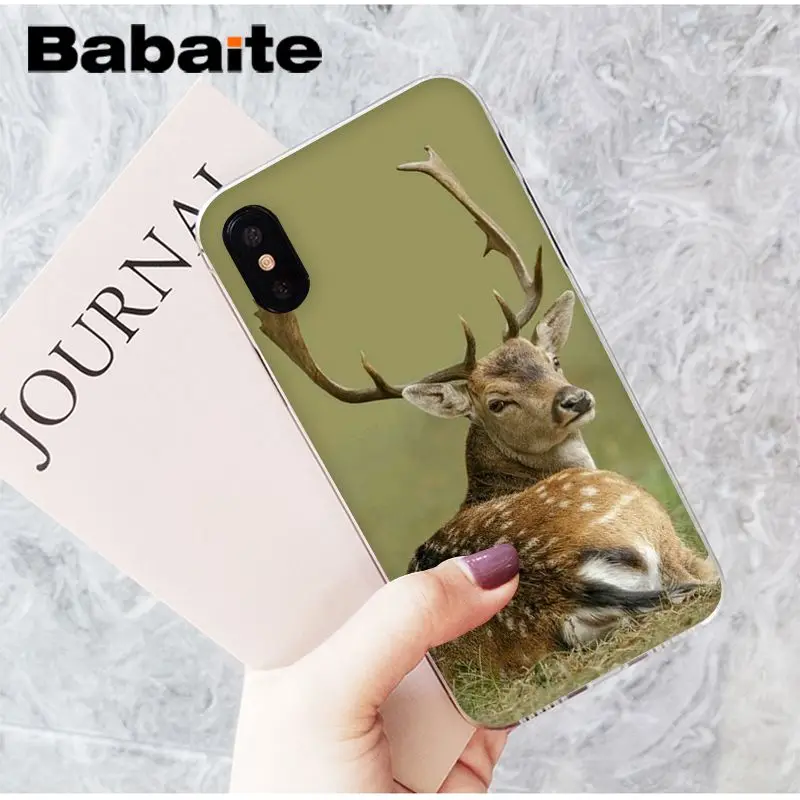 A5 Babaite Лесной Олень ТПУ прозрачный чехол для телефона чехол для Apple iPhone 8 7 6 6S Plus X XS MAX 5 5S SE XR сотовые телефоны - Цвет: A5