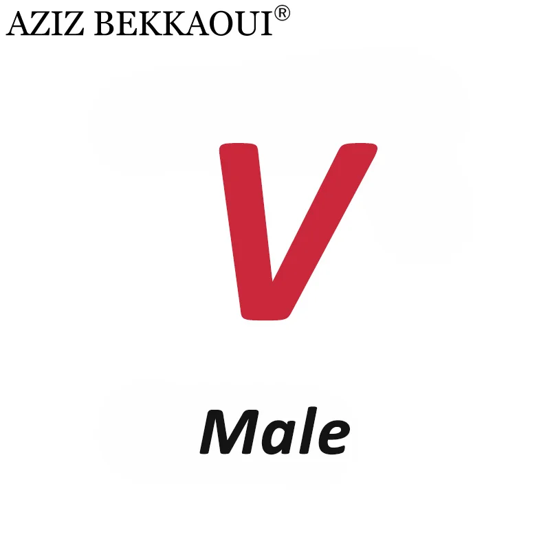 Male V AZIZ BEKKAOUI DIY обслуживание на заказ специальный зимний подарок для друзей, любимых подарок на день Святого Валентина Прямая поставка 3040-49 - Окраска металла: Male V