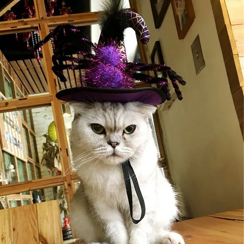 Hoomall 1 шт. Забавные милые животное костюм Косплэй паук тыквы Кепки шляпа для кошки
