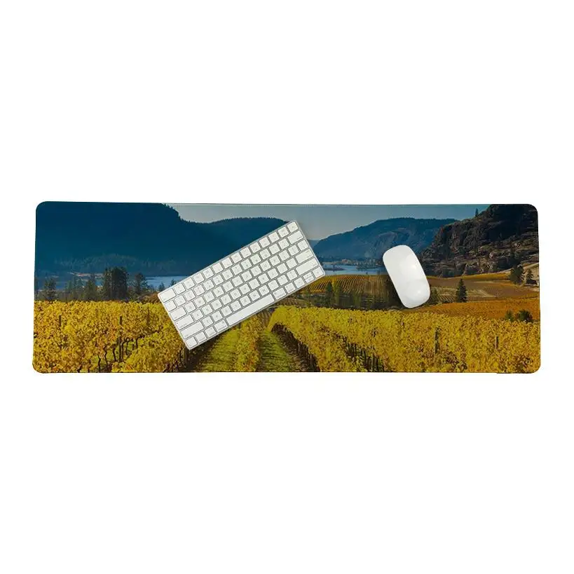 MaiYaCa Top Quality field Landscape Silicone Pad to Mouse Game Size for 30*80cm/11.8*31.5inch Small Mousemat | Компьютеры и офис