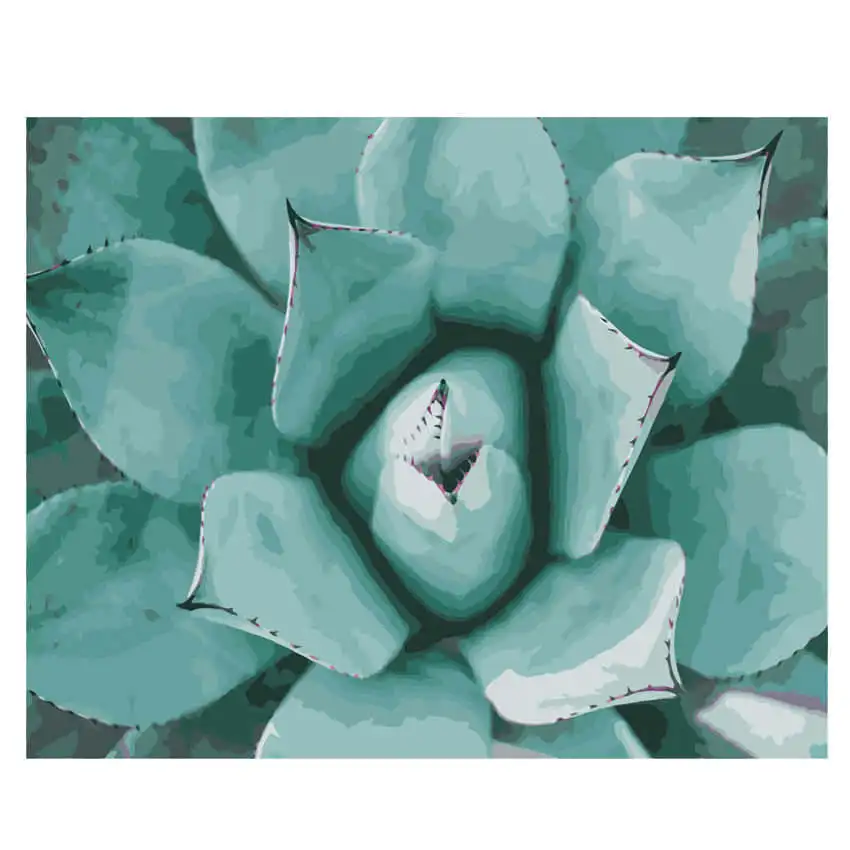 aloe Painting 15 DIY Рисование на холсте для украшения дома, рисование по номерам 40x50 см, алоэ краска количество наборы - Цвет: aloe Painting 15