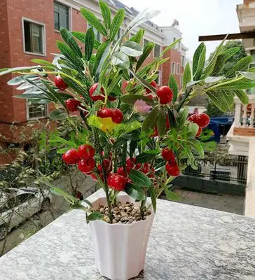 pomegranate Домашний декор фрукты апельсин вишня дерево эмуляция Бонсай Декоративные искусственные цветы Поддельные Зеленый горшок растения украшения - Цвет: pomegranate