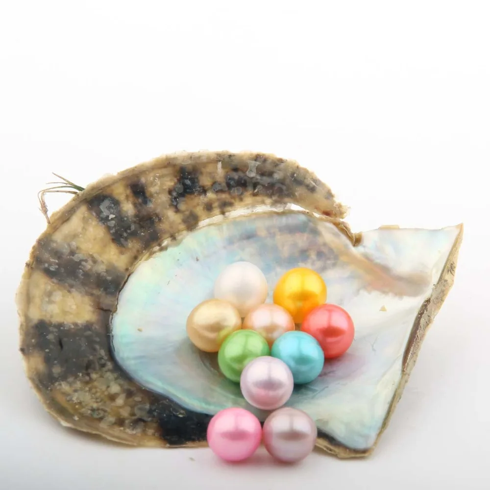 10 шт. Akoya Pearl Oyster культивированный летний цвет Love Wish Oysters с 7 8 мм круглый жемчуг
