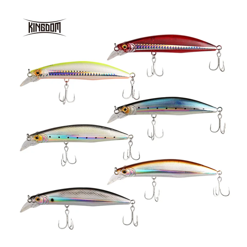 Kingdom Floating Minnow твердая приманка для рыбалки 100 мм 20,7 г/120 мм 30 г плавающая приманка Джеркбейт Искусственные воблеры 6 шт./лот