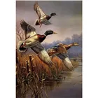 Животные, дикая утка, 3D сделай сам, полный квадрат, алмазная живопись, круглая, вышивка, мозаика, специальная форма, стразы картины, украшение для дома
