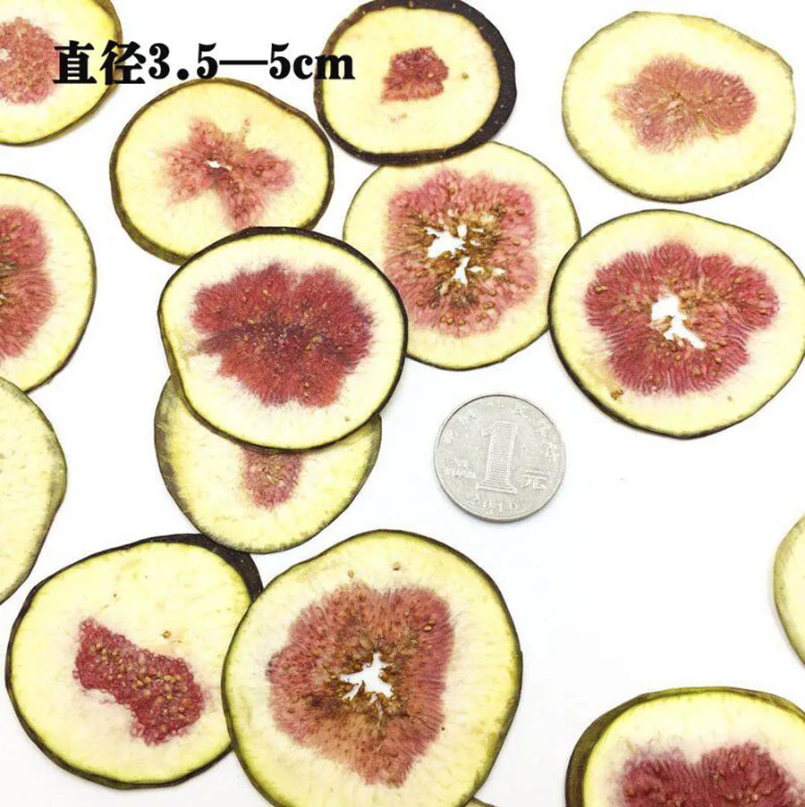 5 шт прессованный высушенный фикус Carica Linn. Ломтики фруктов гербарий из растений