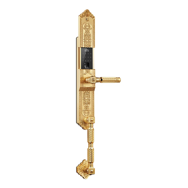 TENON F5B Интеллектуальный RF датчик умный считыватель отпечатков пальцев код ключ