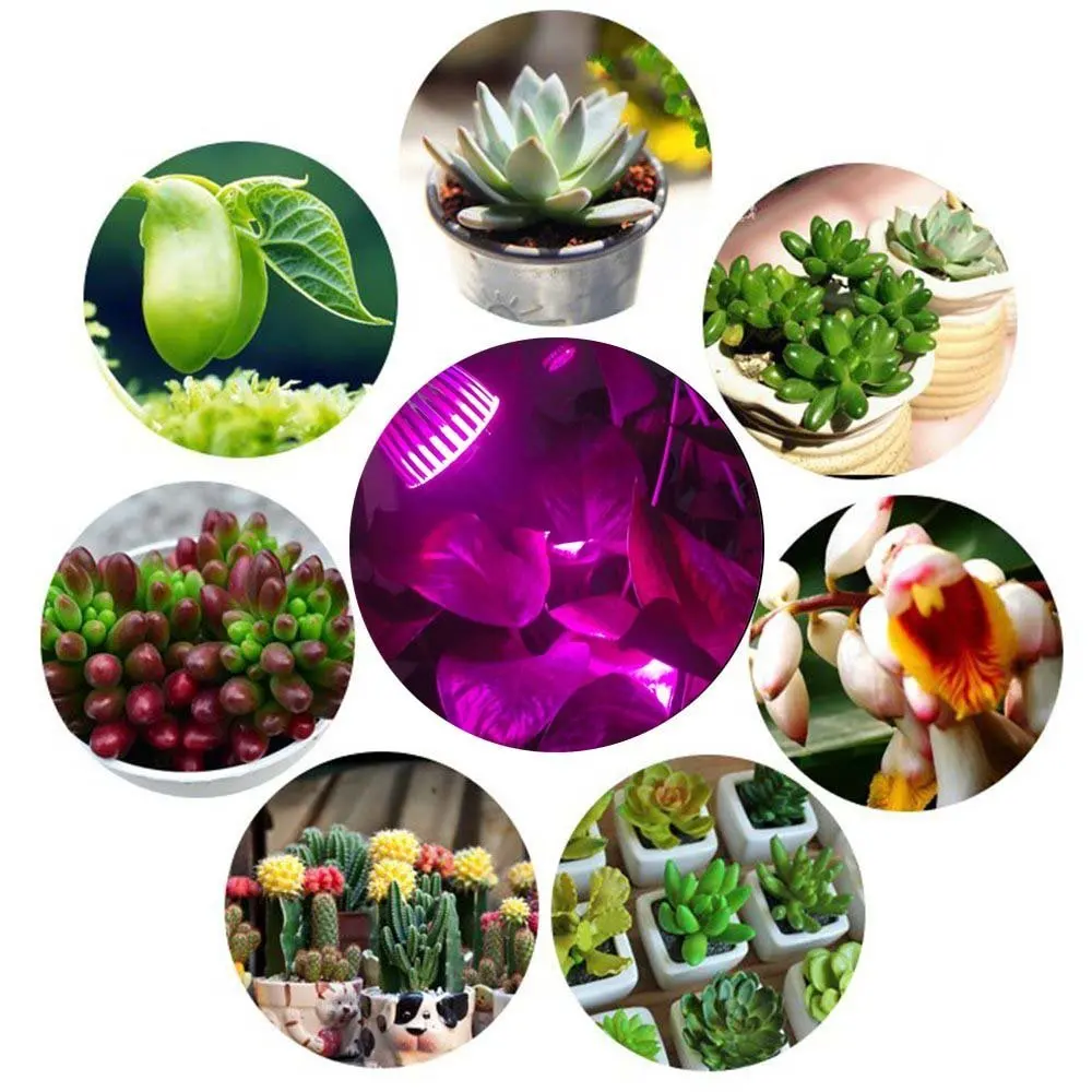 1 оптовая продажа светодиодный светильник для растений 36 Вт E27 гидропонных цветов