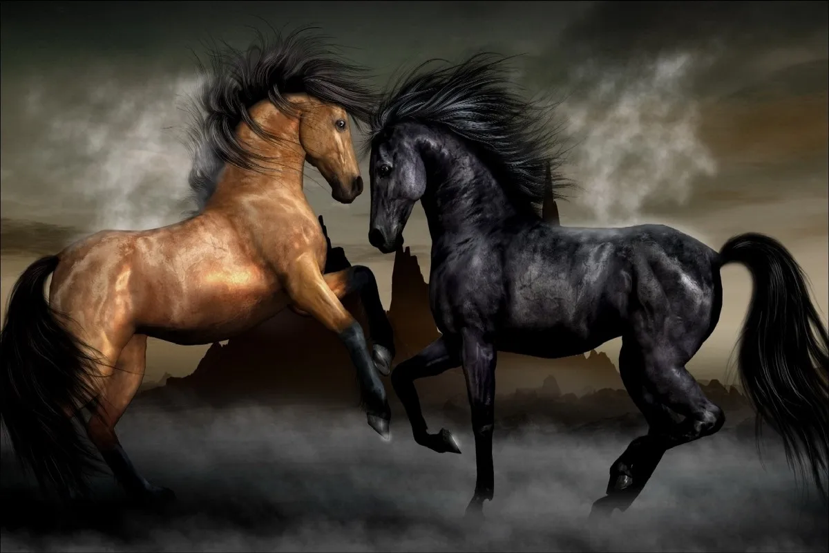 

Парная коричневая лошадь и Черная лошадь PDW281 фотоэлемент для украшения стен комнатный Декор домашнее украшение (рамка в наличии)