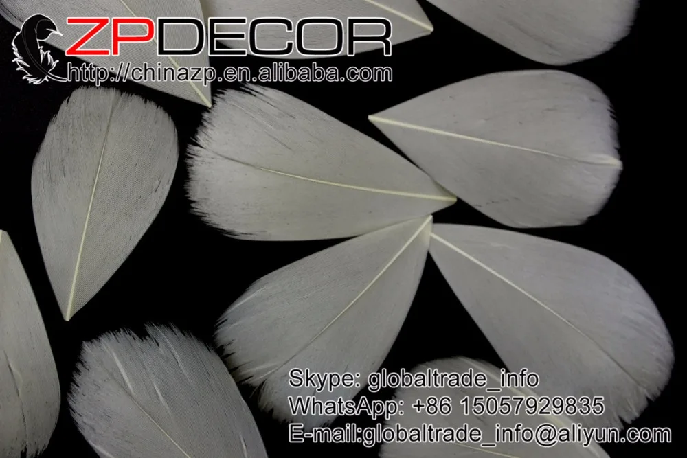 

ZPDECOR 3~7cm 200Pieces/lot Beautiful Markings Dyed Beige Trimmed Petal Goose Feather