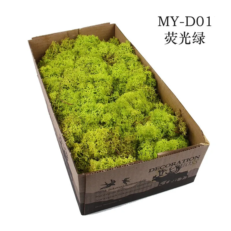 Fluorescence Green 500 г, сделай сам, нескончаемый мох, 24 цвета, натуральный настоящий мох, декоративный цветок для дома, сада, вечерние, свадебные декорации - Цвет: Fluorescence Green