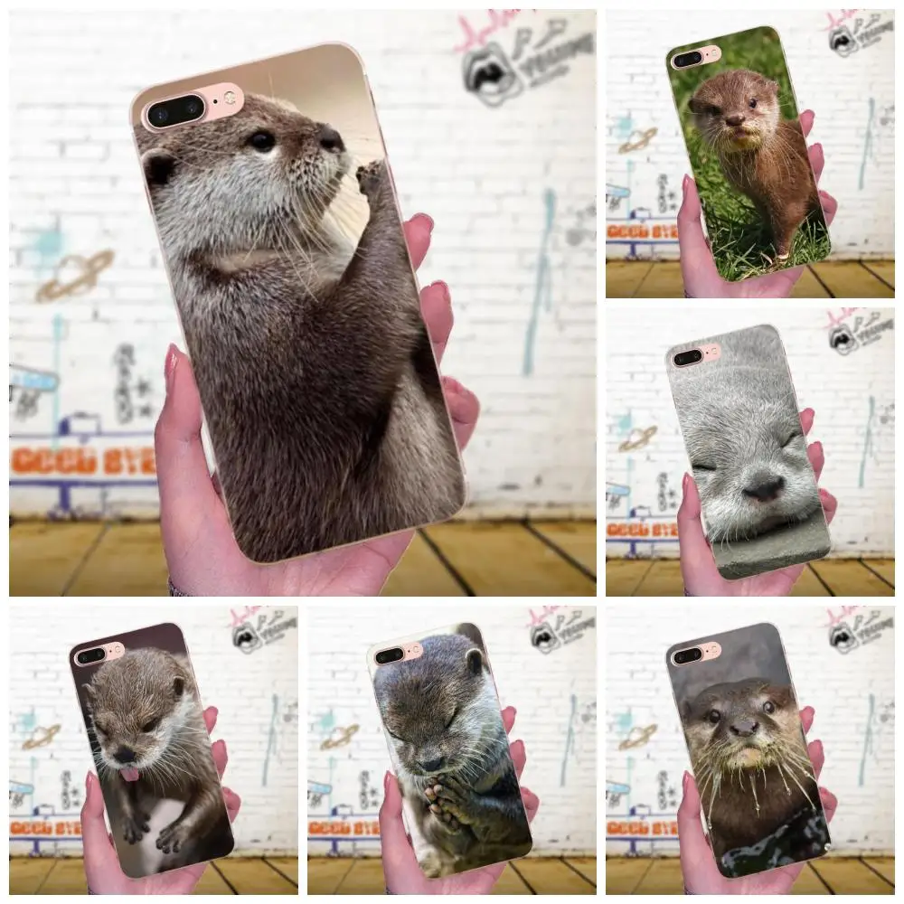 Романтические Otters держащие руки милые для Galaxy J1 J2 J3 J330 J4 J5 J6 J7 J730 J8 2015 2016 2017 2018 mini