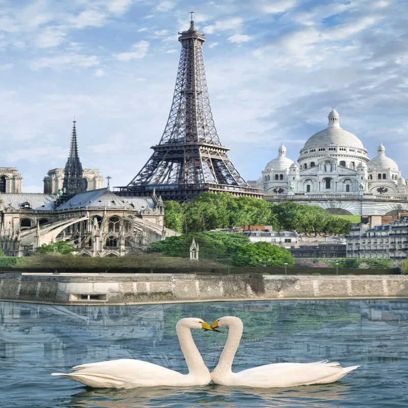 Фотообои с изображением Эйфелевой башни Парижа Фреска коридора украшение входа