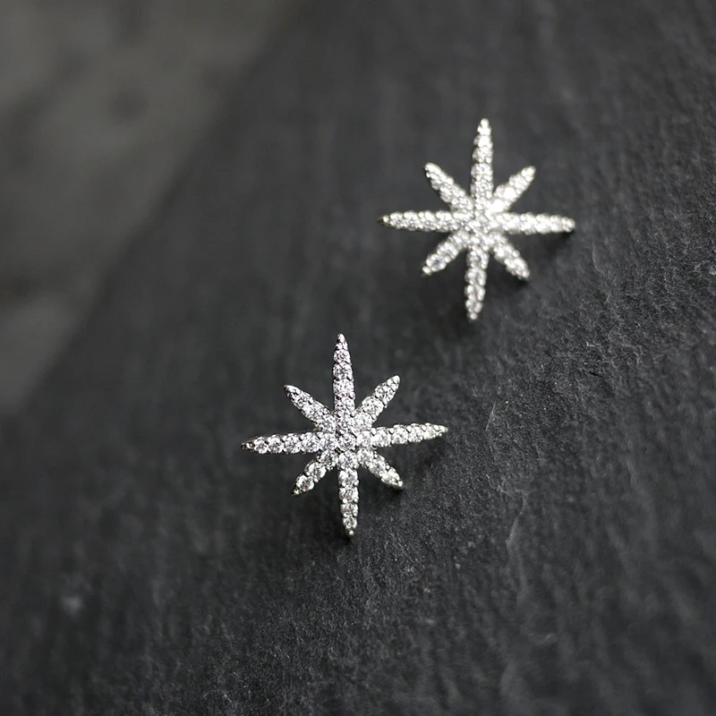 Восемь сияющих звезд Серьги женские серебряные корейские простые модные