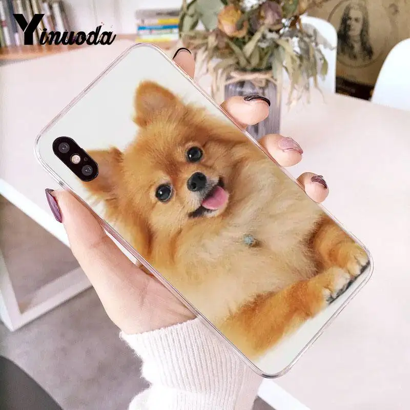 Yinuoda Pomeranian dogs Красочный милый чехол для телефона для iPhone 8 7 6 6S Plus X 10 5 5S SE XR XS XSMAX11 11pro 11promax