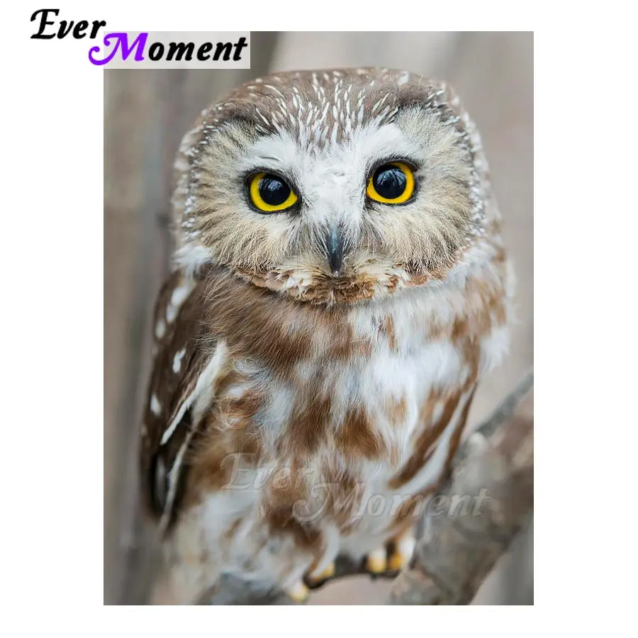 

Ever Moment 5D Diamond Painting Bird Owl Full Square Drill Resin Pictures Of Decor Home DIY Mosaic Embroidery ASF1065