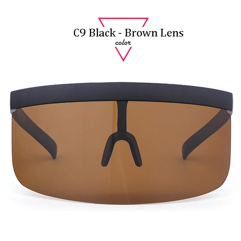 C9 Brown Lens ALOZ MICC, женские солнцезащитные очки, Непродуваемые, Ретро стиль, для мужчин, защитный козырек, плоский верх, капюшон, очки, Q439 - Цвет линз: C9 Brown Lens