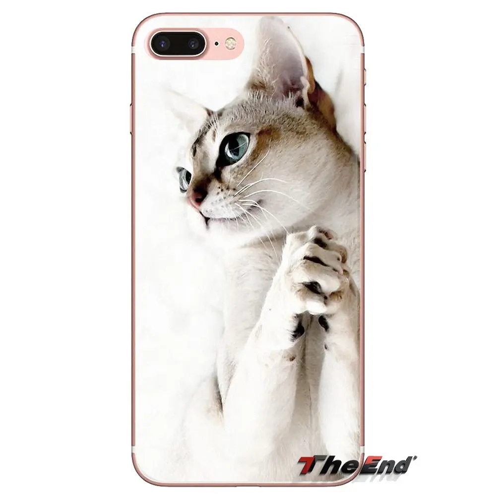 Прозрачные чехлы для Huawei Mate Honor 4C 5C 5X 6X 7 7A 7C 8 9 10 8C 8X 20 Lite Pro Pretty moly kitта Коты с принтом