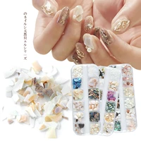 1box mixed 3d natural shell slice abalone thick high gloss nail art nail accessories set