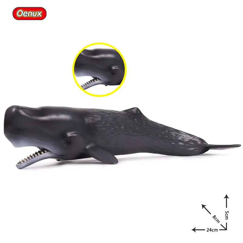 Sperm whale Oenux, новинка, морская жизнь, морские животные, мегалодон, Кит, большая акула, модель, фигурка, ПВХ, Акула, фигурки животных, игрушки, детский подарок - Цвет: Sperm whale