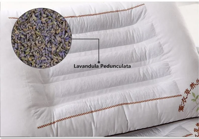 Lavender JaneYU casasia seed/Лаванда/Жасмин/лузга гречихи наполнение Подушка Подлинная верхняя Магнитная терапия подарки casasia забота о здоровье подушка - Цвет: Lavender